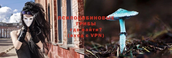 прущие грибы Верхний Тагил