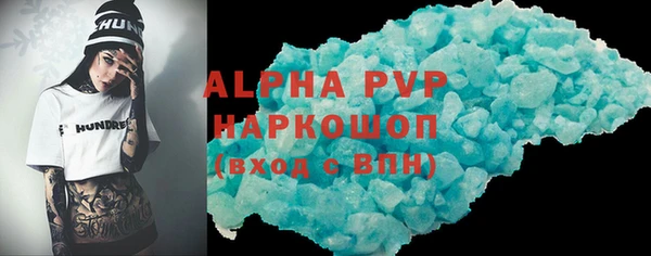 прущие грибы Верхний Тагил