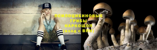 ПСИЛОЦИБИНОВЫЕ ГРИБЫ Верхнеуральск