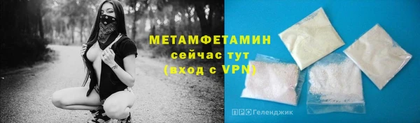 прущие грибы Верхний Тагил