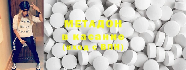 прущие грибы Верхний Тагил