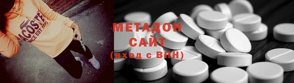прущие грибы Верхний Тагил