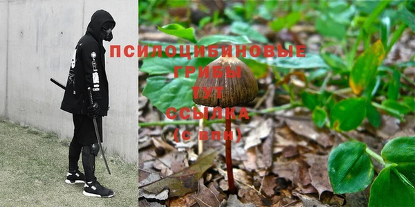 бутират Верея