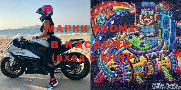 прущие грибы Верхний Тагил
