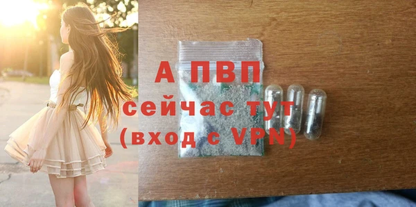 прущие грибы Верхний Тагил