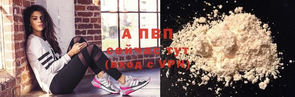 прущие грибы Верхний Тагил