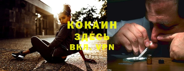 прущие грибы Верхний Тагил