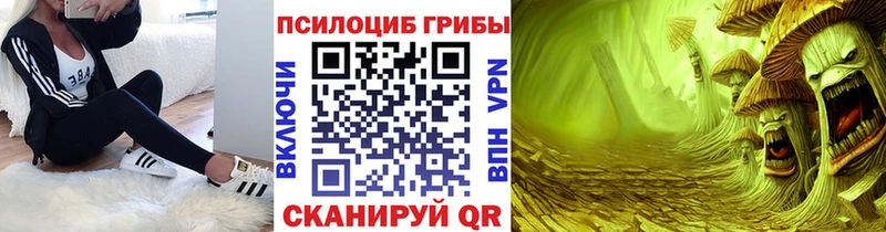 Купить где  Юрьевец  Галлюциногенные грибы Psilocybe 